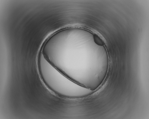X0000113000989200908270916