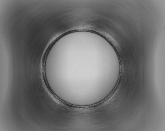 X0000113000990200908270916