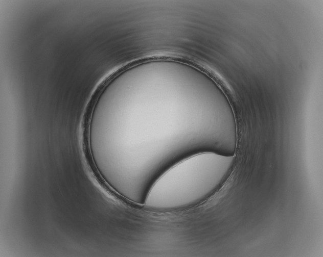 X0000113000991200908270916