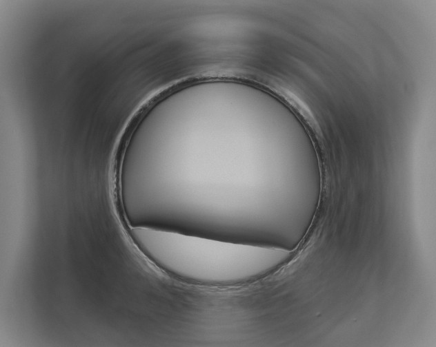 X0000113000992200908270916