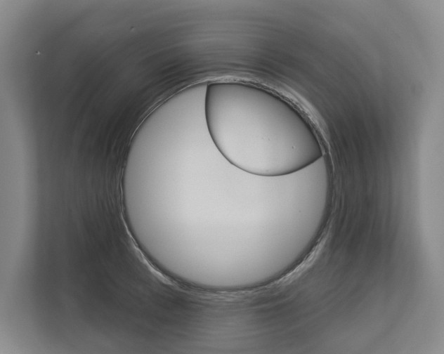 X0000113000993200908270916