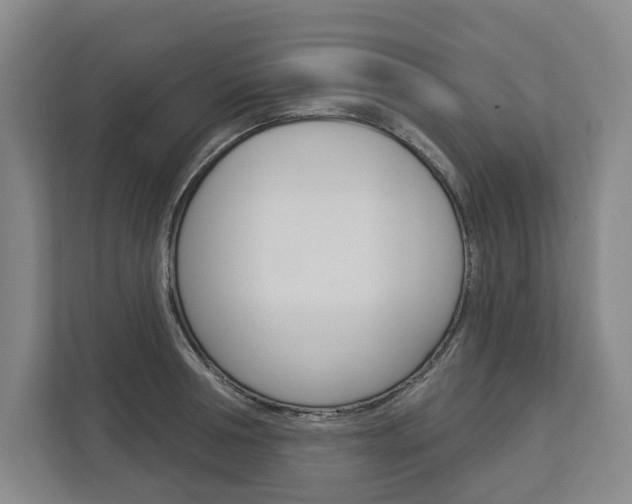 X0000113000994200908270916