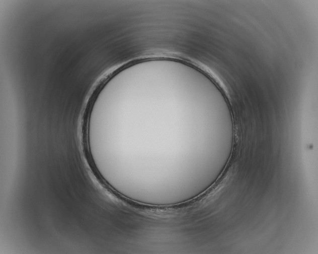 X0000113000995200908270916