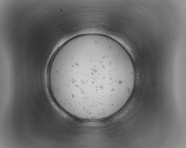 X0000113000998200908270916