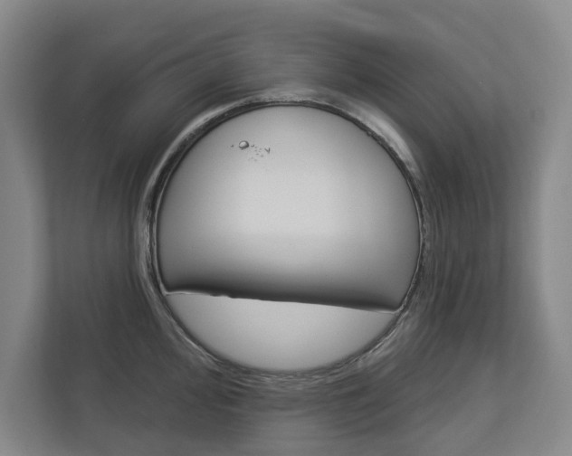 X0000113001000200908270916