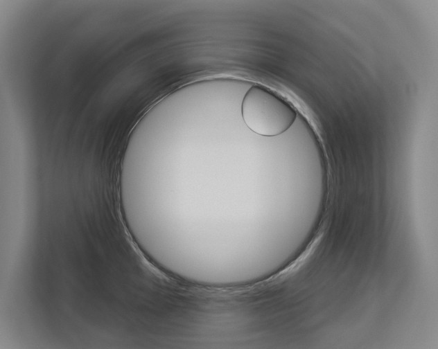 X0000113001001200908270916