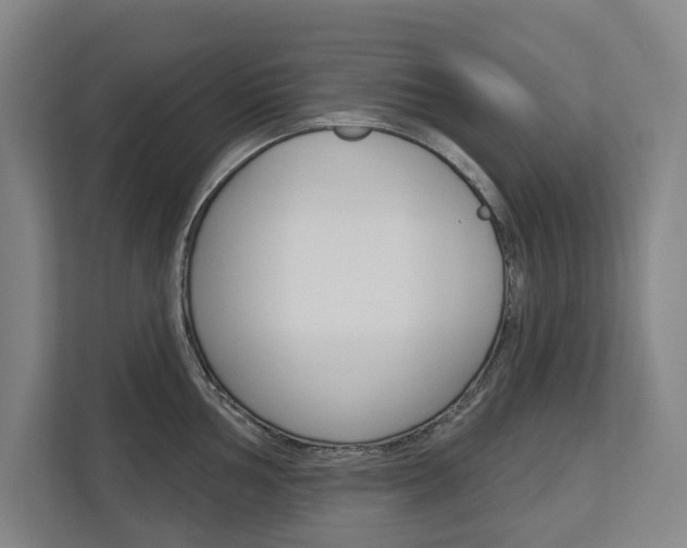 X0000113001002200908270916
