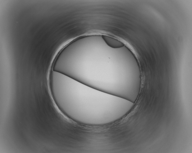 X0000113001003200908270916