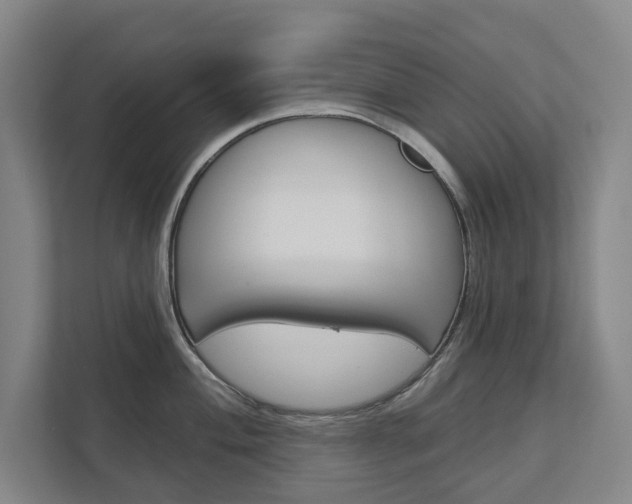 X0000113001004200908270916