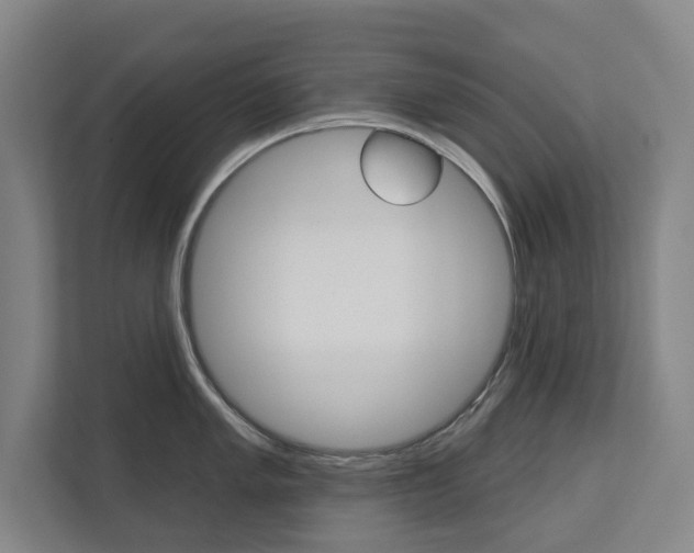 X0000113001005200908270916
