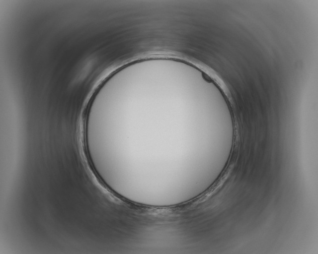 X0000113001006200908270916