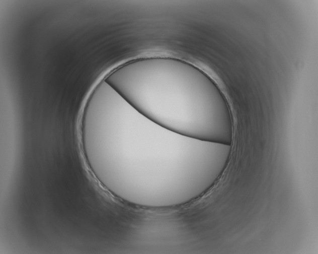 X0000113001008200908270916