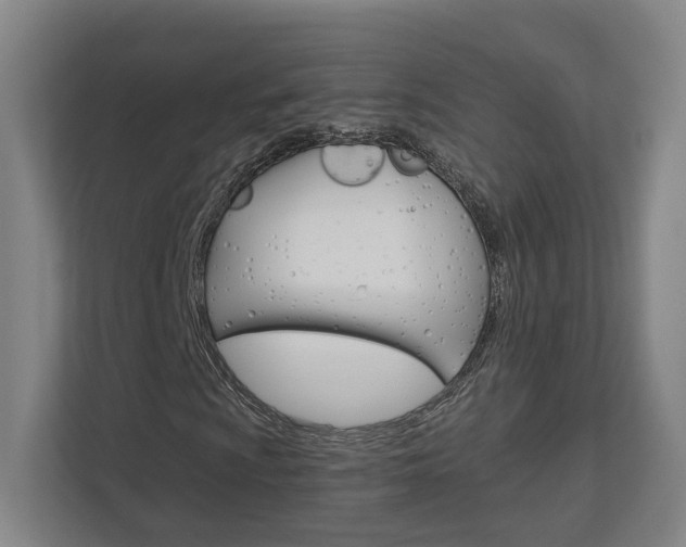 X0000113001009200908270915