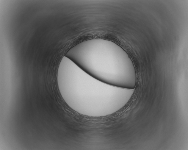 X0000113001010200908270915