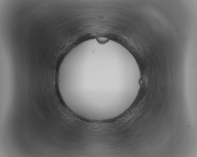 X0000113001012200908270915