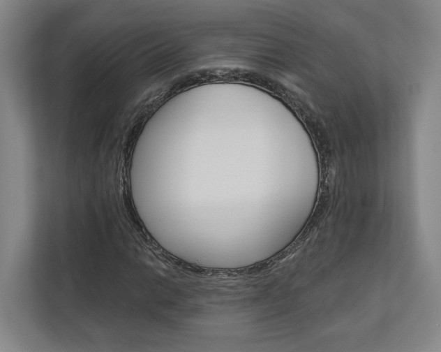 X0000113001014200908270915