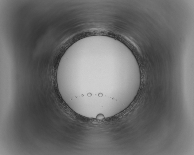 X0000113001015200908270915