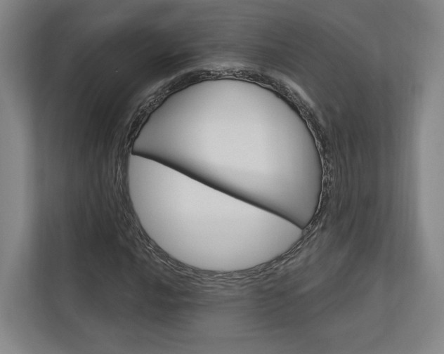 X0000113001016200908270915