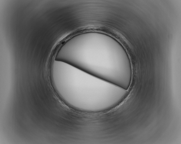X0000113001018200908270915