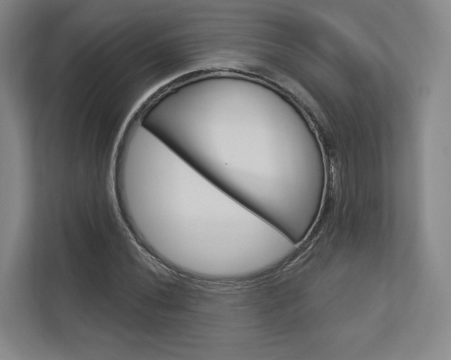 X0000113001020200908270915
