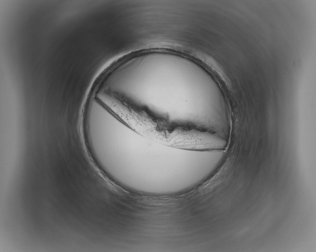 X0000113001024200908270915