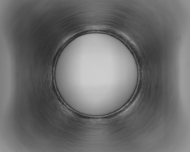 X0000113001025200908270915