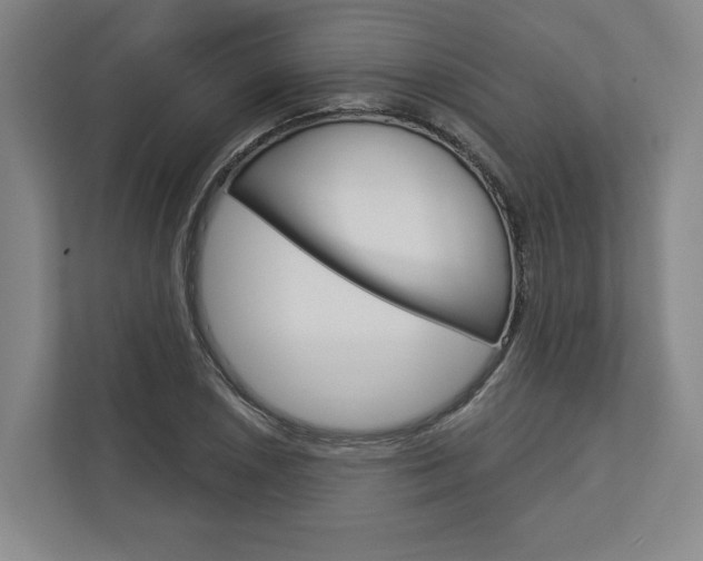 X0000113001026200908270915