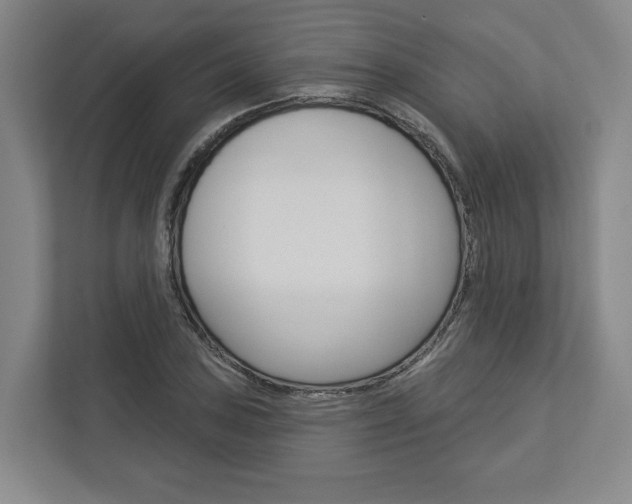 X0000113001027200908270915