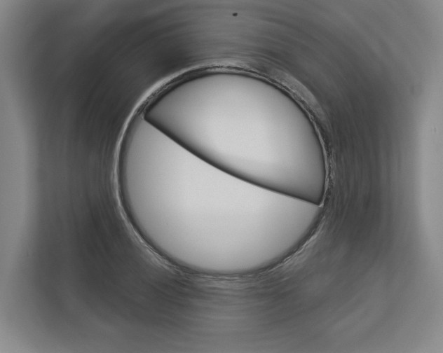 X0000113001028200908270915