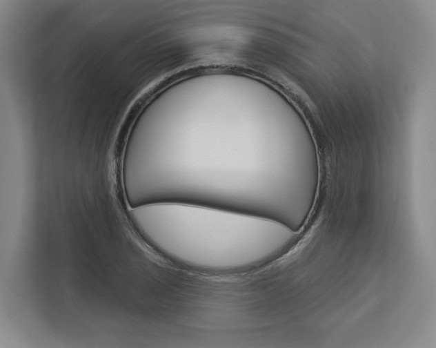 X0000113001029200908270915