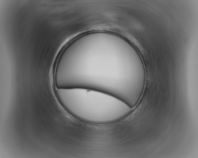 X0000113001032200908270915