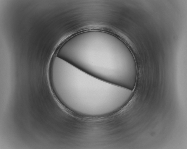 X0000113001034200908270915