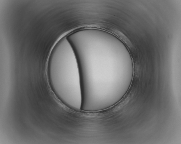 X0000113001036200908270915