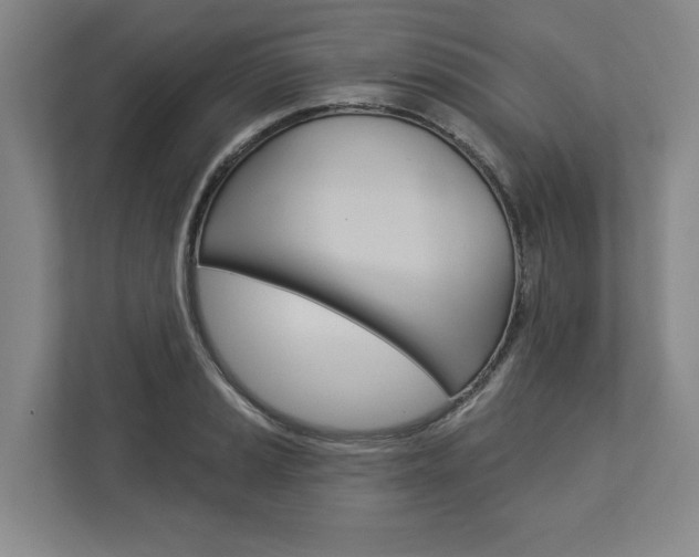 X0000113001037200908270915