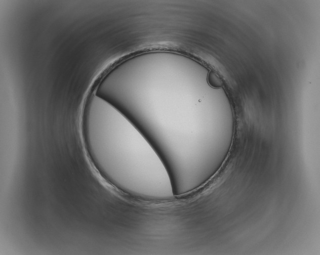 X0000113001038200908270915