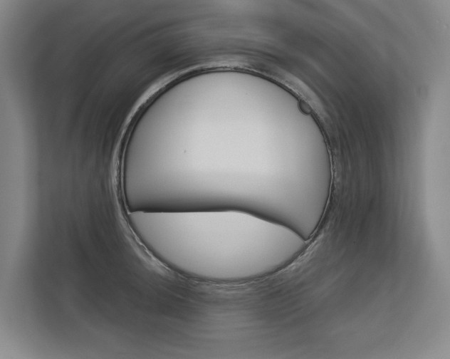 X0000113001044200908270916