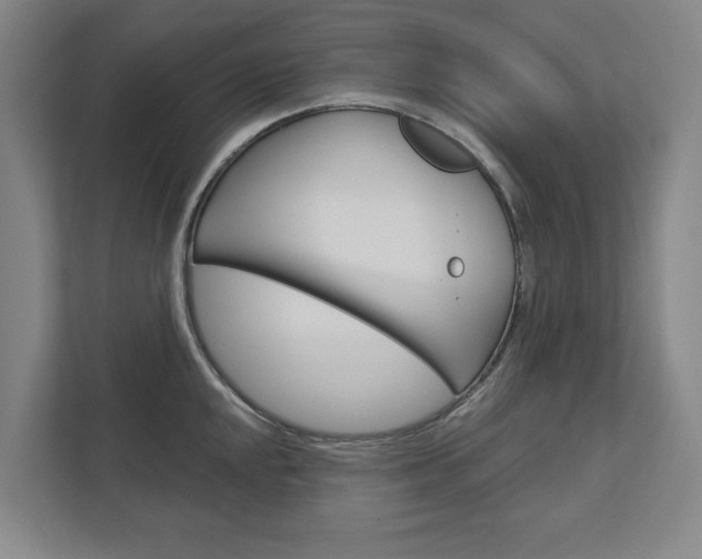 X0000113001048200908270916