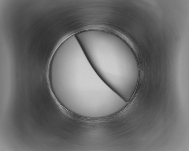 X0000113001050200908270916