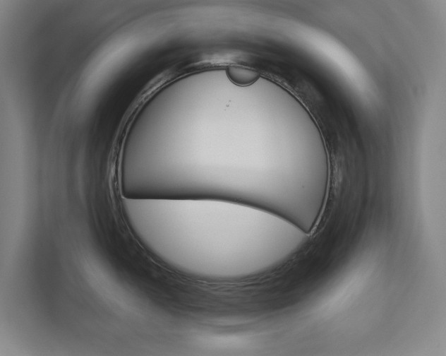 X0000113001052200908270916