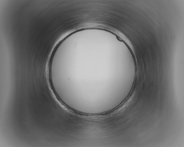X0000113001053200908270916