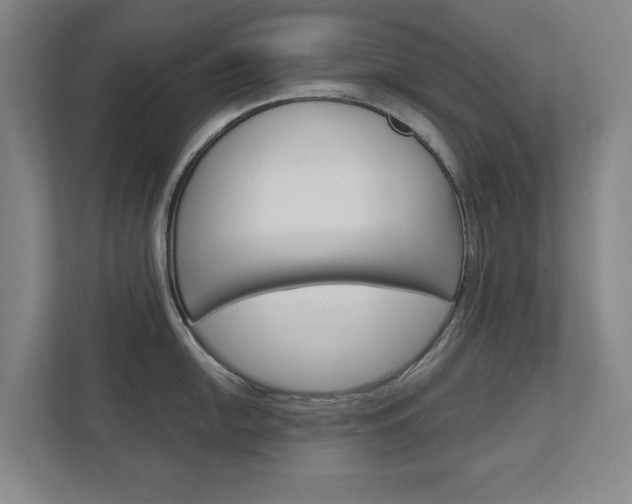 X0000113001054200908270916