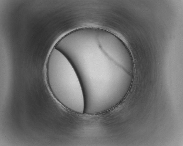 X0000113001056200908270916