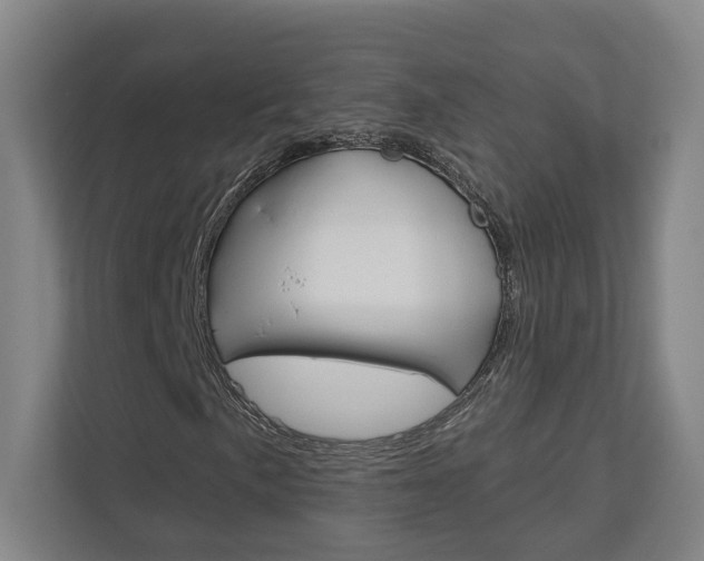 X0000113001057200908270915