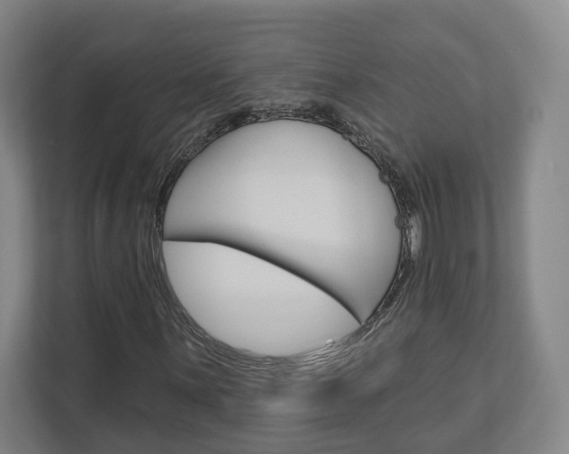 X0000113001059200908270915