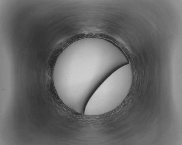X0000113001063200908270915