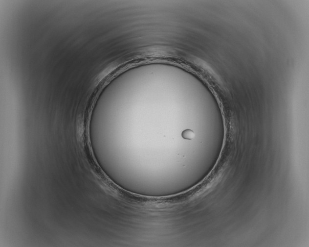 X0000113001065200908270915