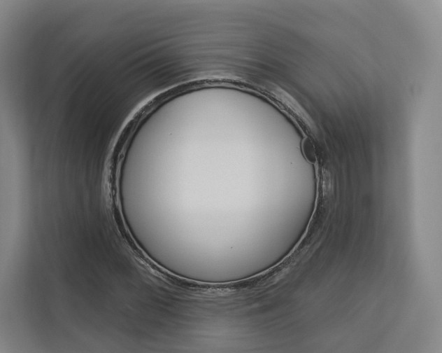 X0000113001068200908270915