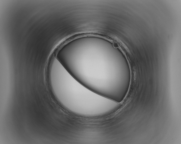 X0000113001069200908270915