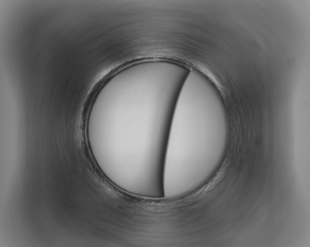 X0000113001071200908270915