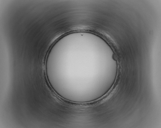 X0000113001073200908270915